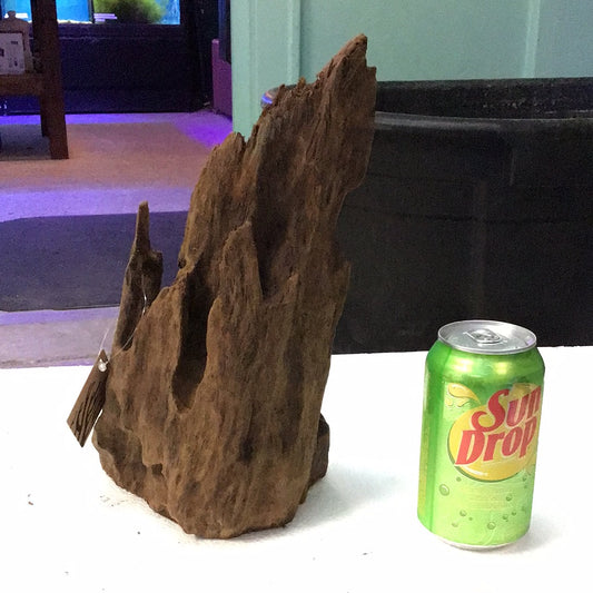 SR Aquaristik Malaysian Mangrove Wood #1 small