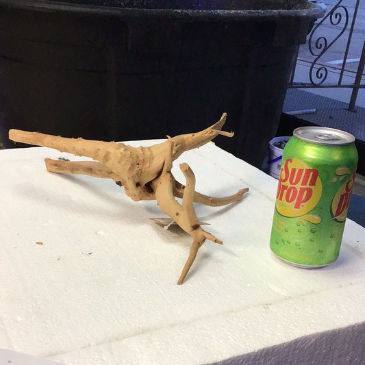 SR Aquaristik Weathered Spider Wood  #2 small