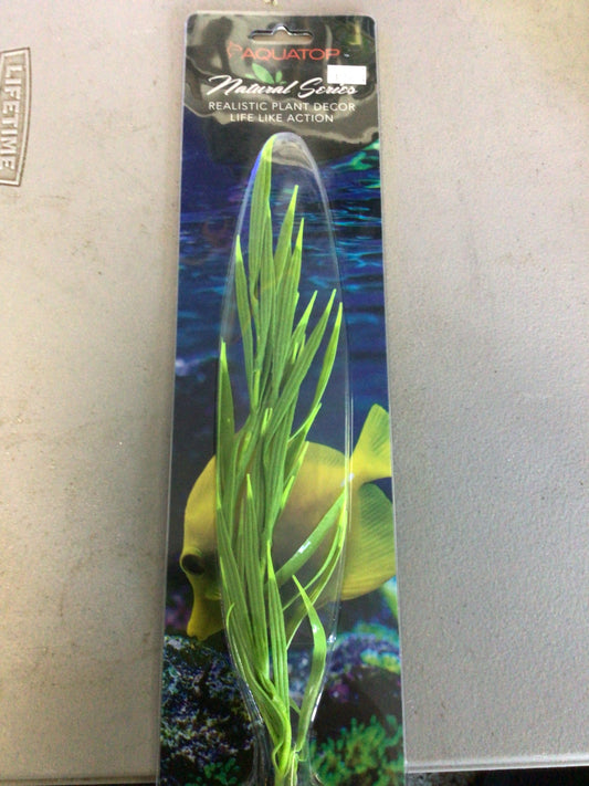 Aquatop green with yellow tips 12”