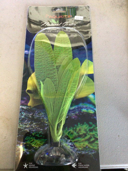 Aquatop Madagascar lace 10”