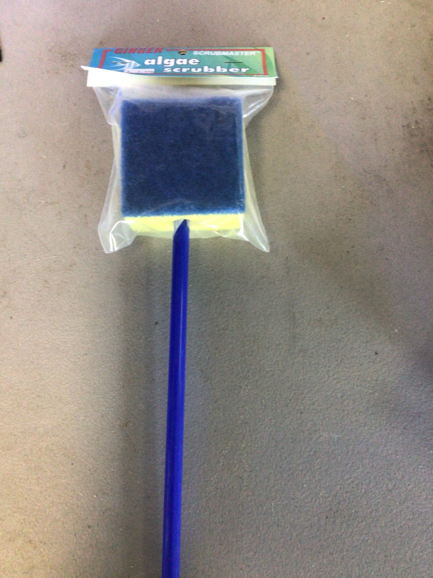 Algae scrubber