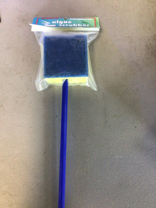Algae scrubber