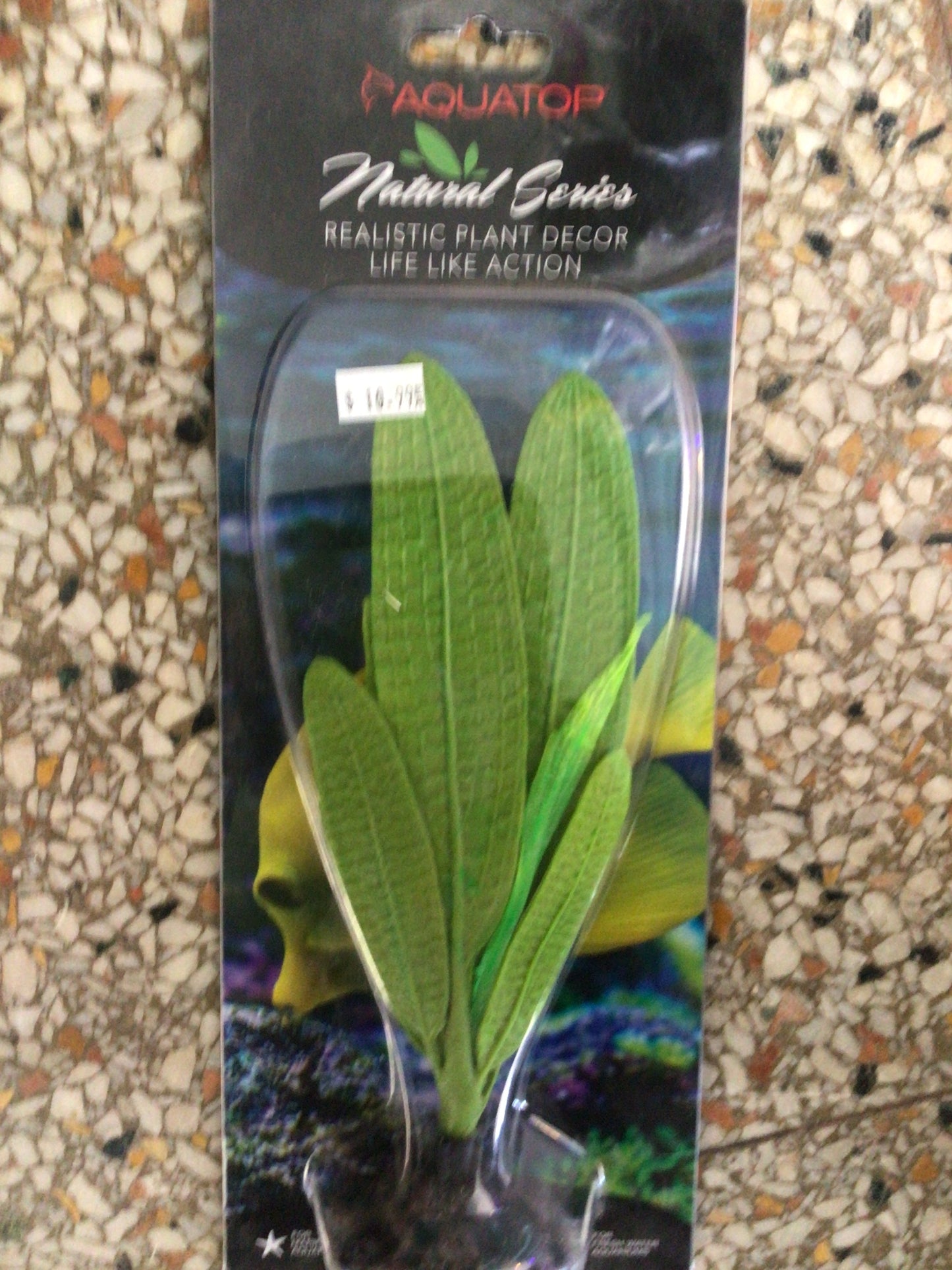 Aquatop Madagascar lace 4.5”