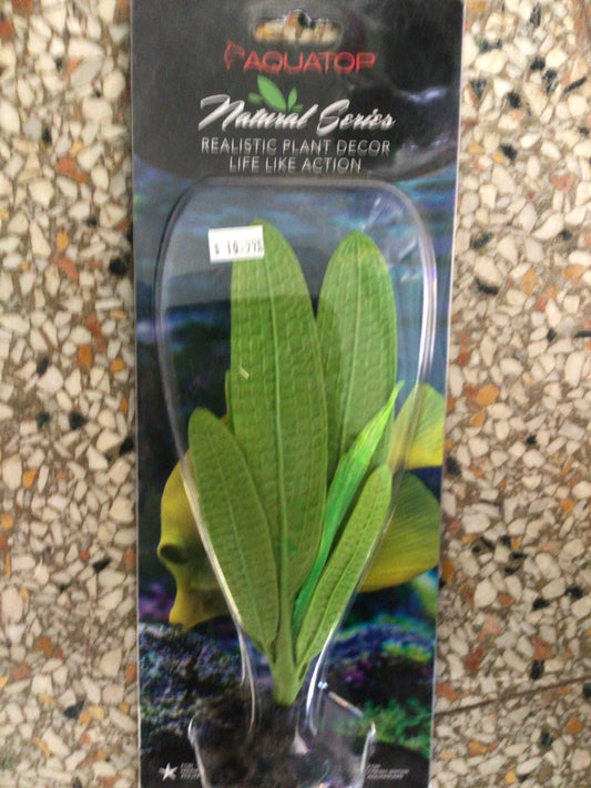 Aquatop Madagascar lace 4.5”