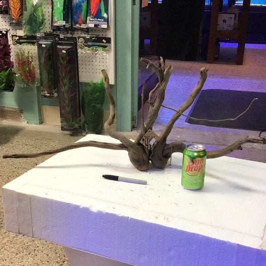 SR Aquaristik Black Spider Wood #2 XLarge