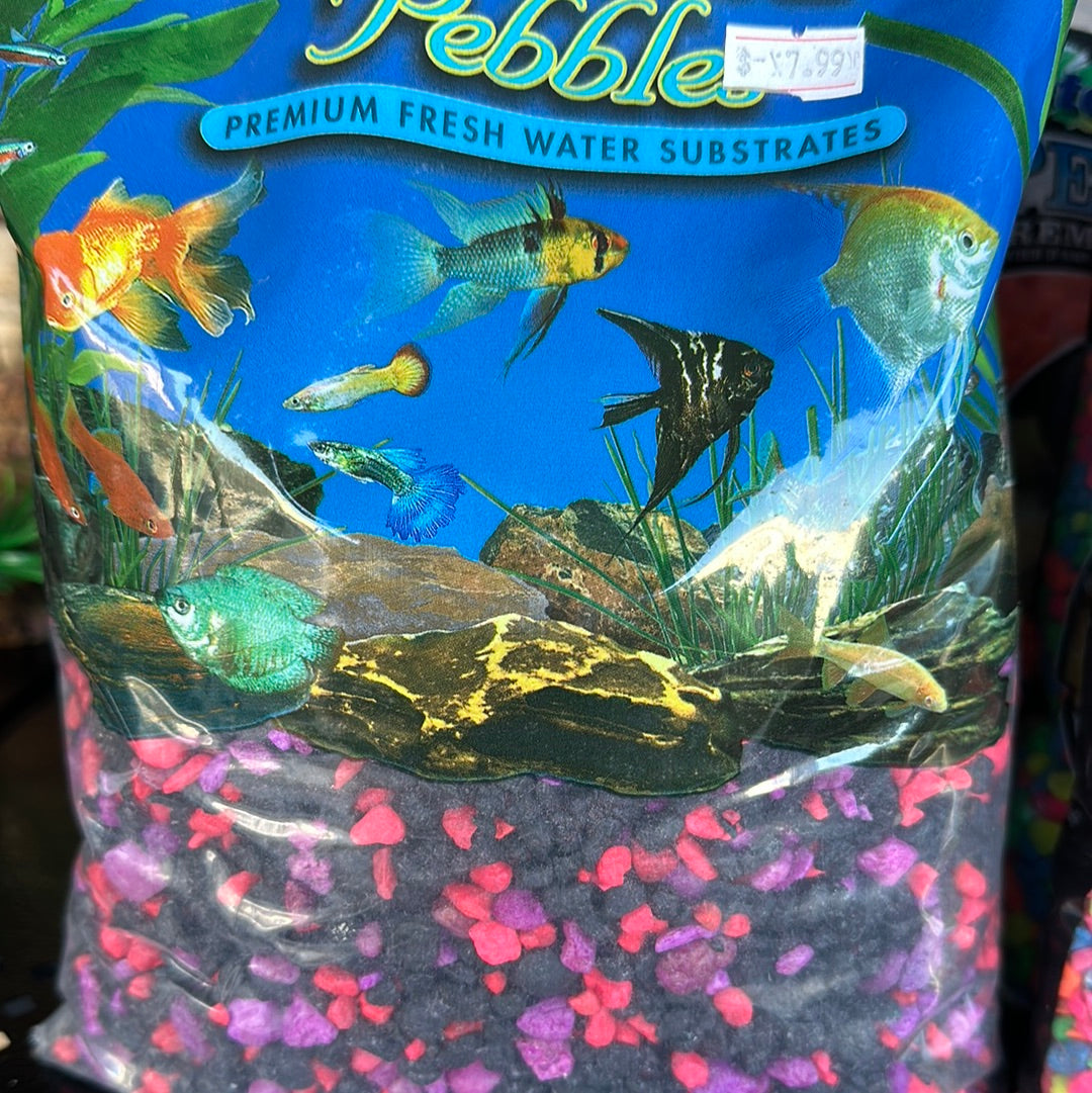 Pure Water Pebbles freshwater substrate Cherry Berry Neon 5lb