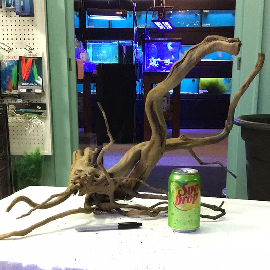 SR Aquaristik Black Spider Wood #1 XLarge