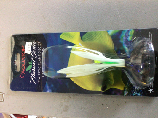 Aquatop white sword 4.5”