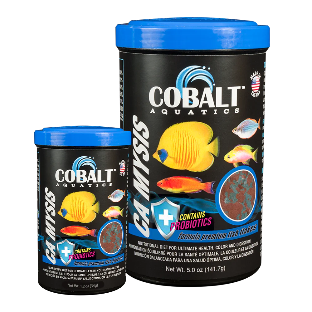 Cobalt Mysis 5.0 oz