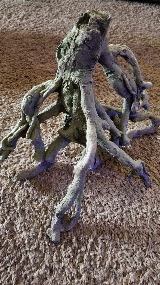 Root