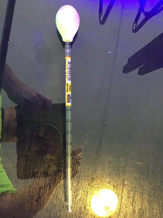 Coral feeder wide point