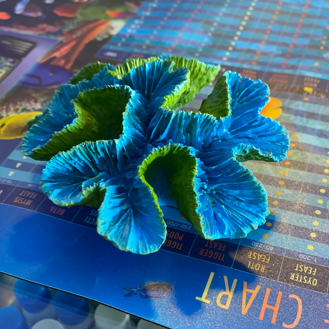 Blue Open Brain Coral