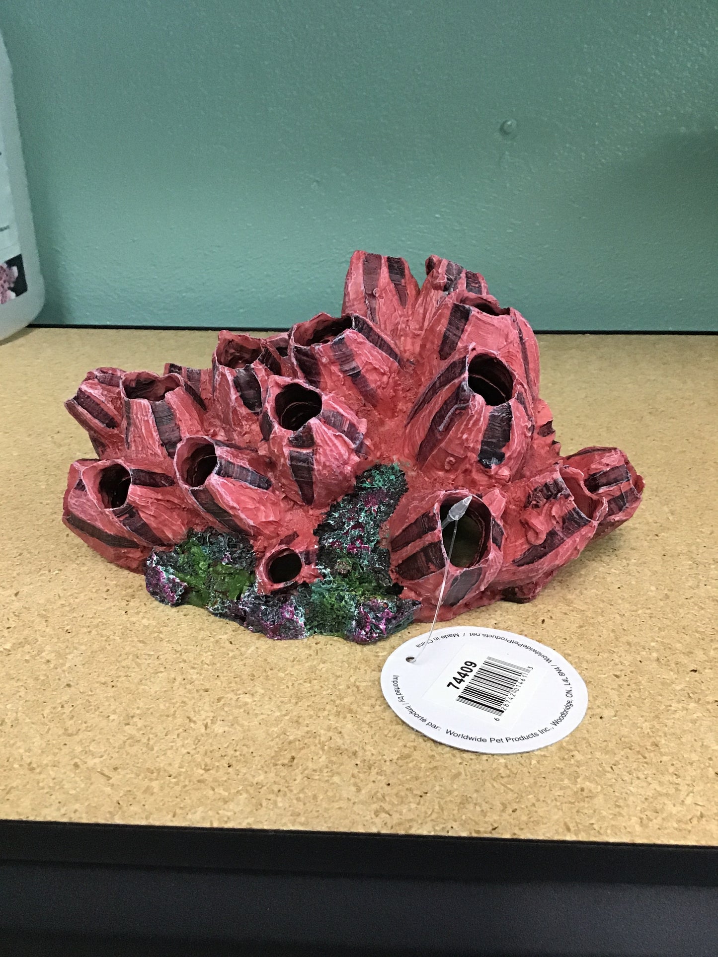 Fire Barnacle Lrg