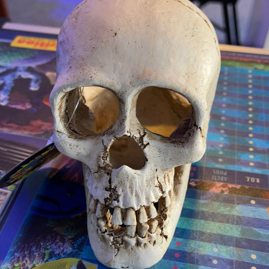 Skull