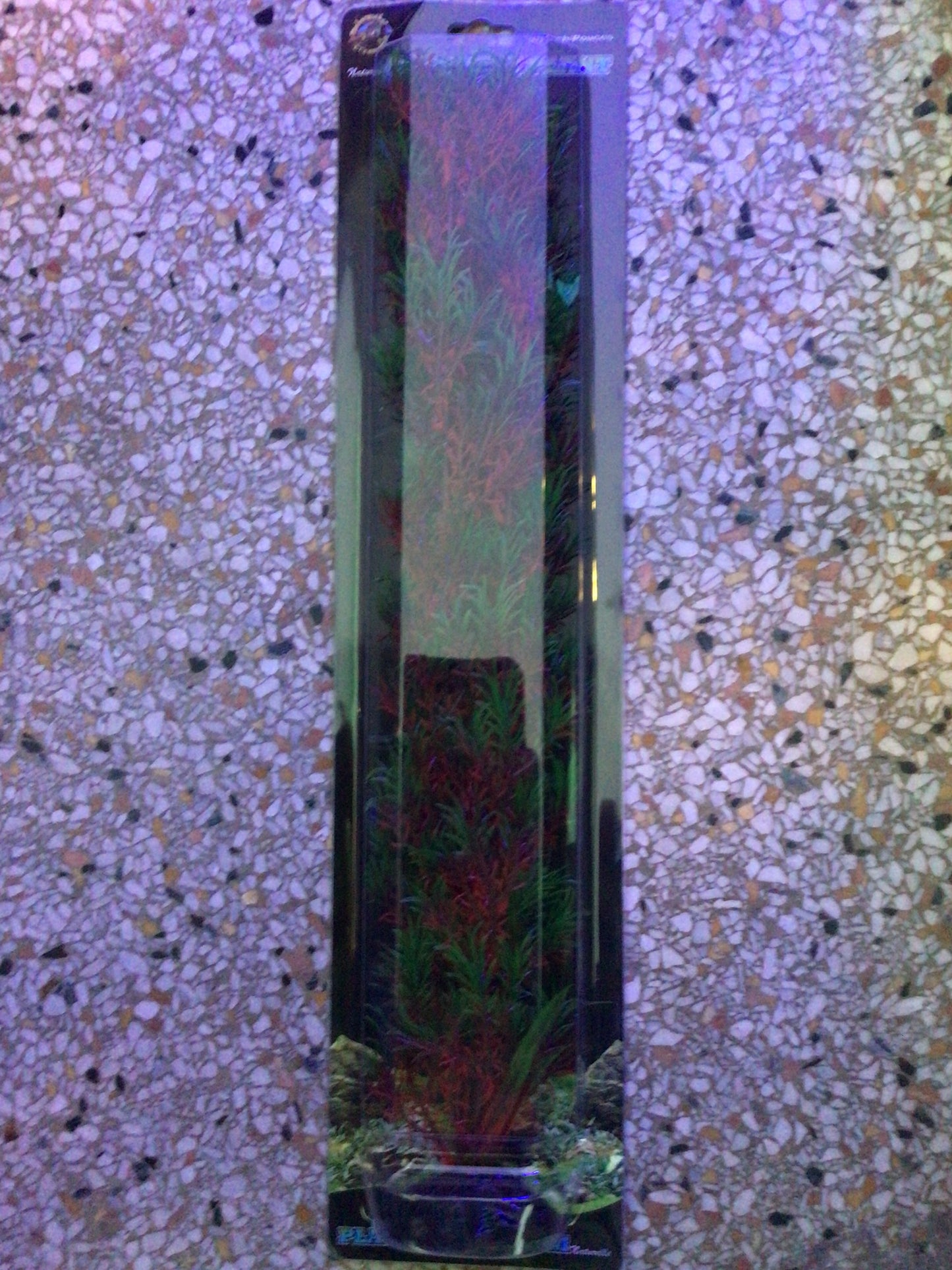 Red/green springerige 20”