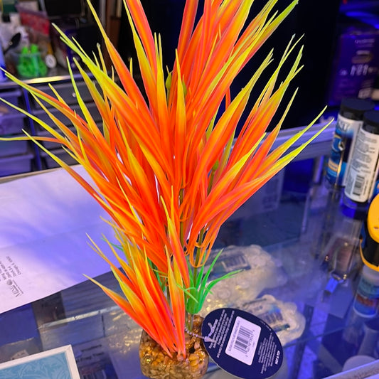 Glow Fish Cycle Plant Orange/Yellow Large
