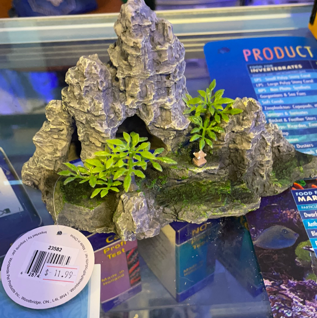 Mountain with two caves- Medium