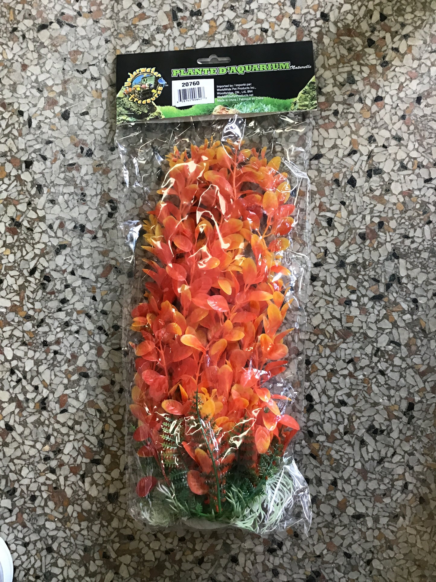 Orange Cardimine