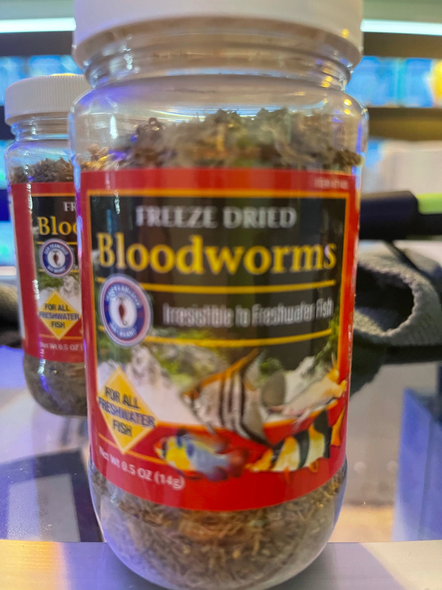 freeze dried bloodworms