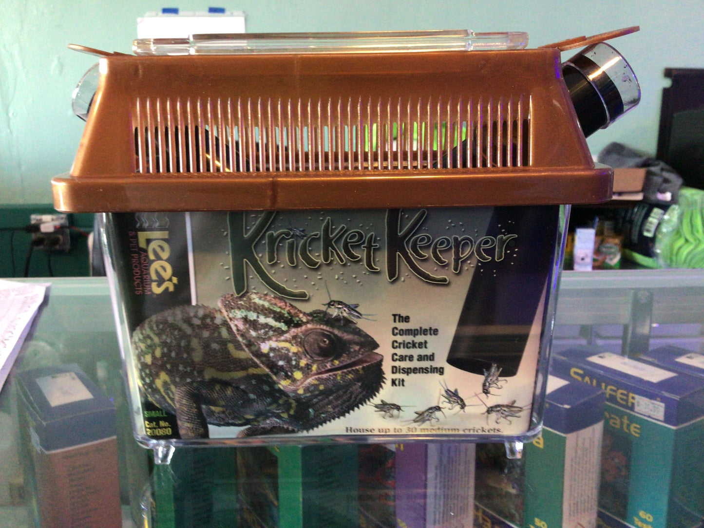 Lee’s cricket keeper small