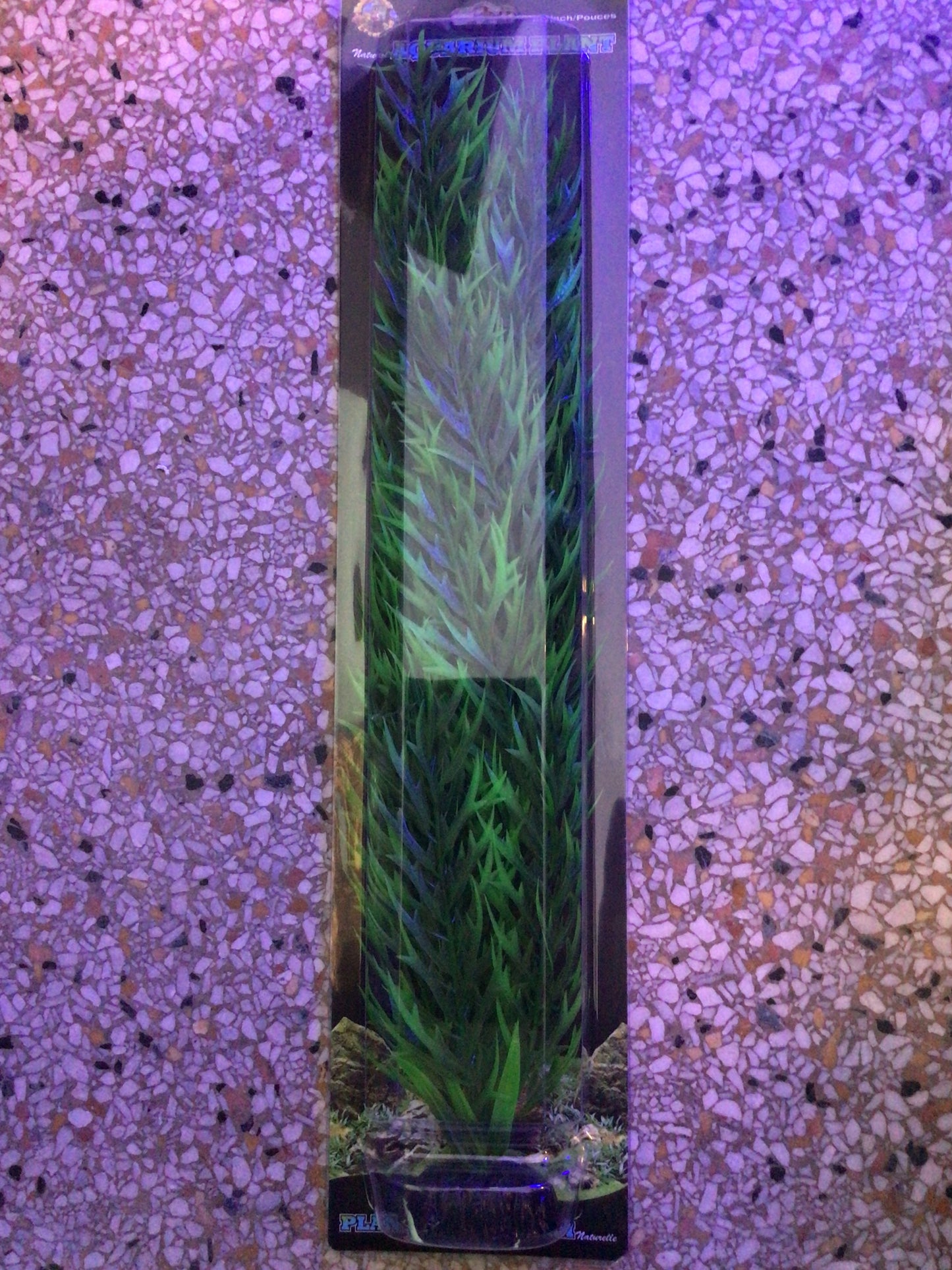 Green bamboo 20”