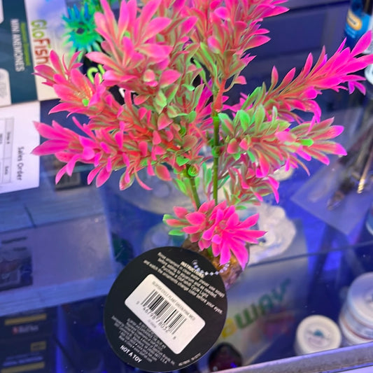 Glow Fish Cycle Plant Green/Pink Medium
