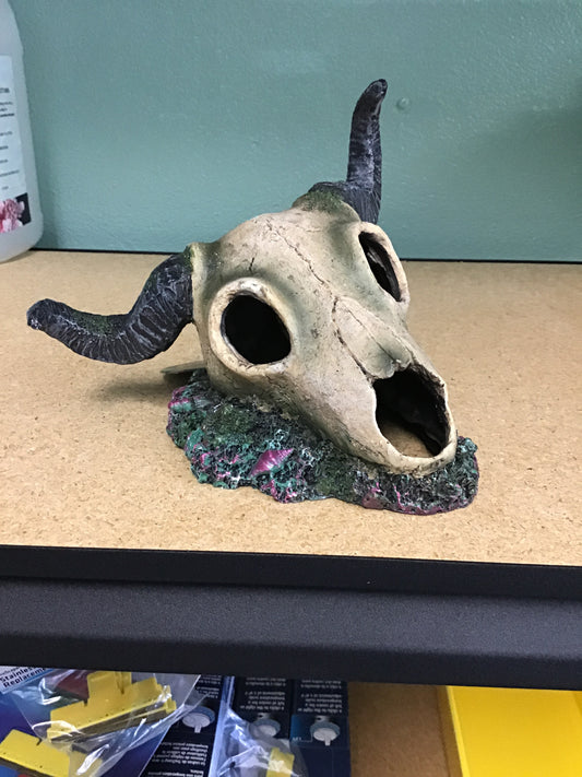 Ram Skull