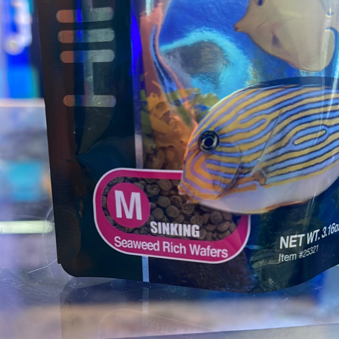 Hikari Seaweed Extreme Medium Fish Food Wafers 3.16 oz