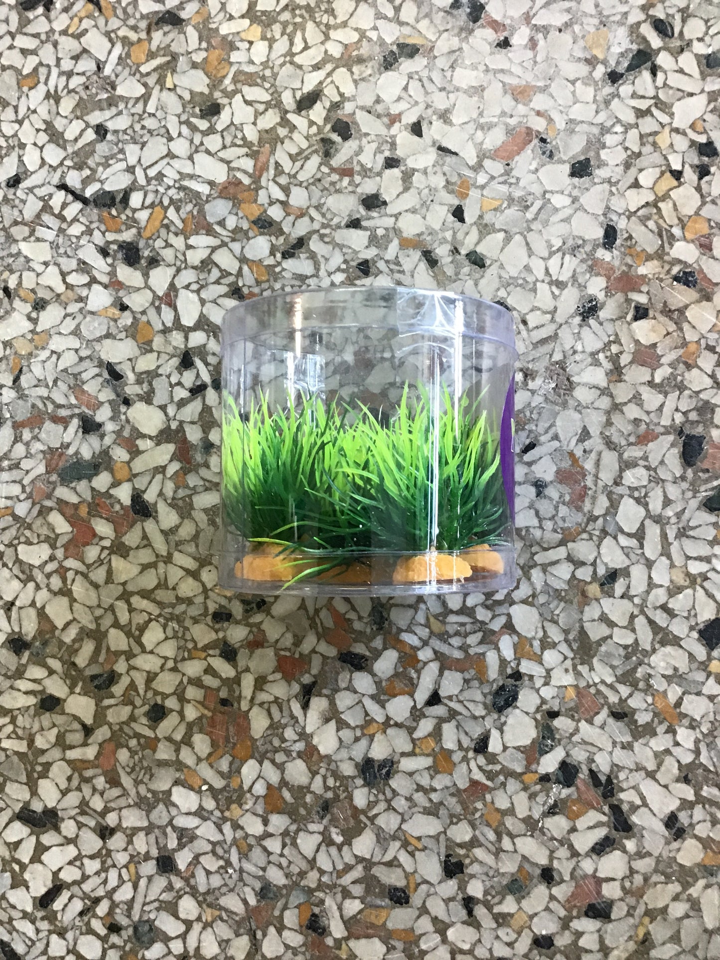 4 ground 6 pk carp grass