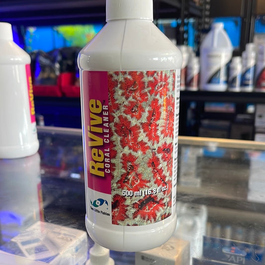 two little fishies revive coral cleaner