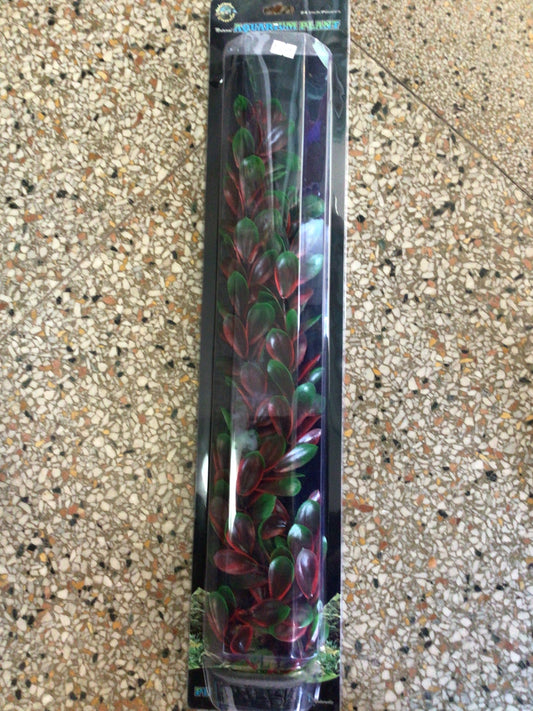 Red and green aquarium plant 24”