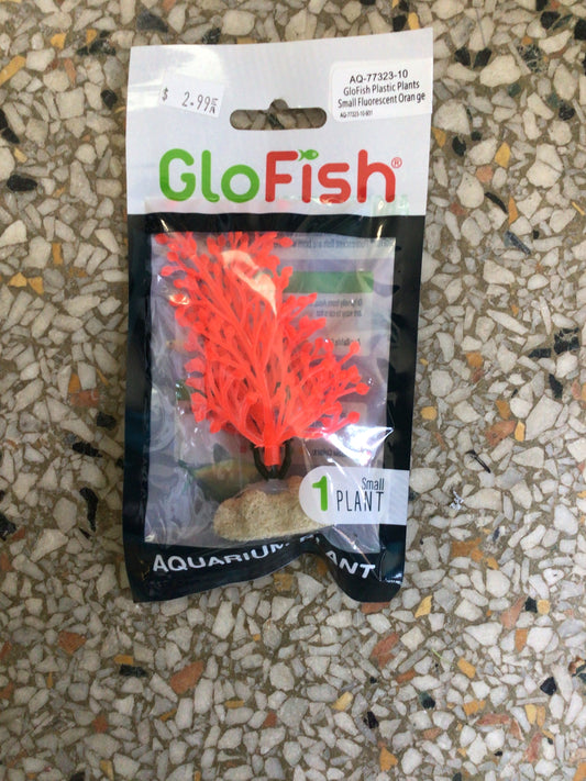 Glofish plant small orange