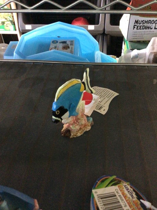Blue tang statue