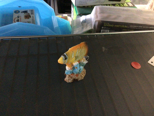 Yellow angelfish statue