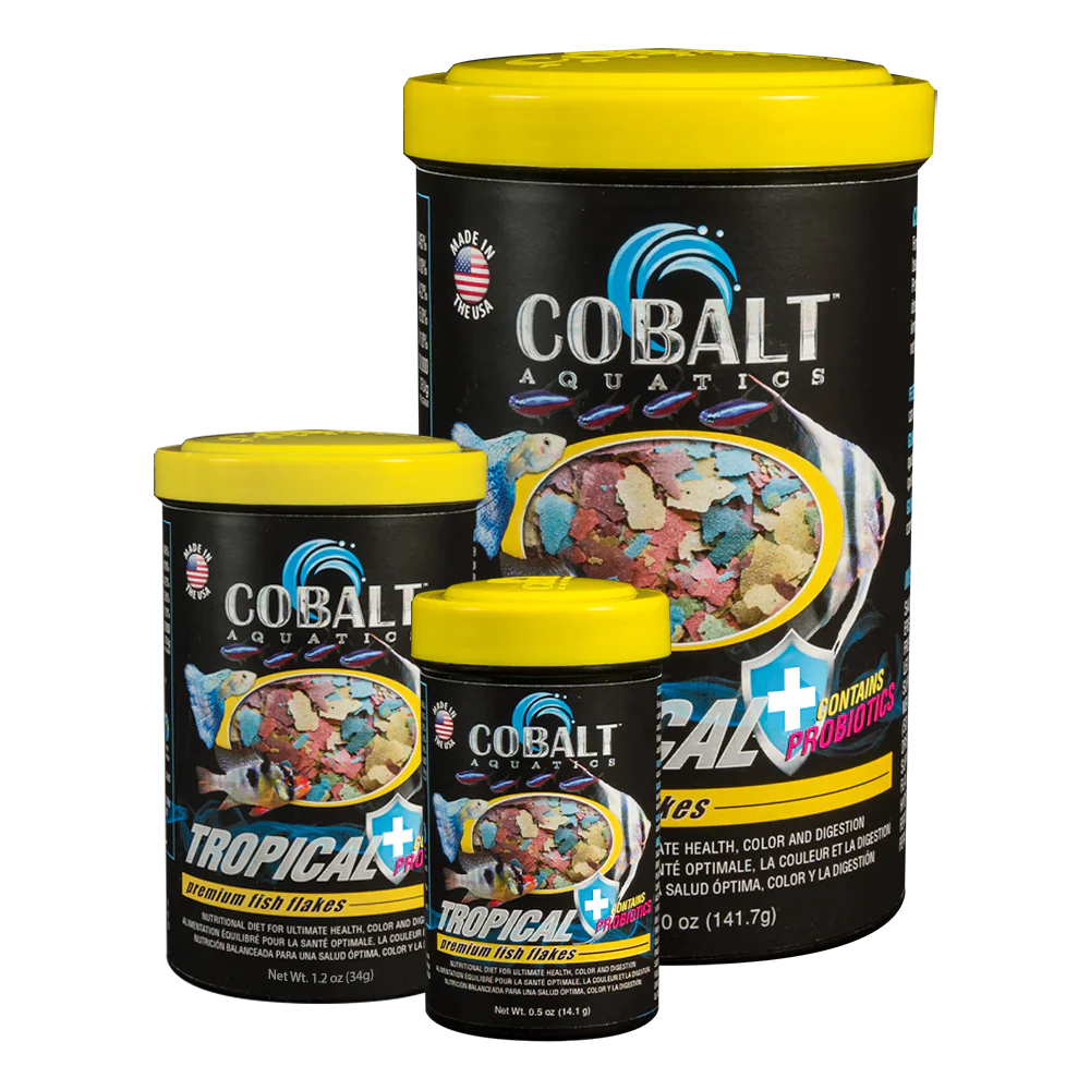 Cobalt Tropical Flakes .5 oz