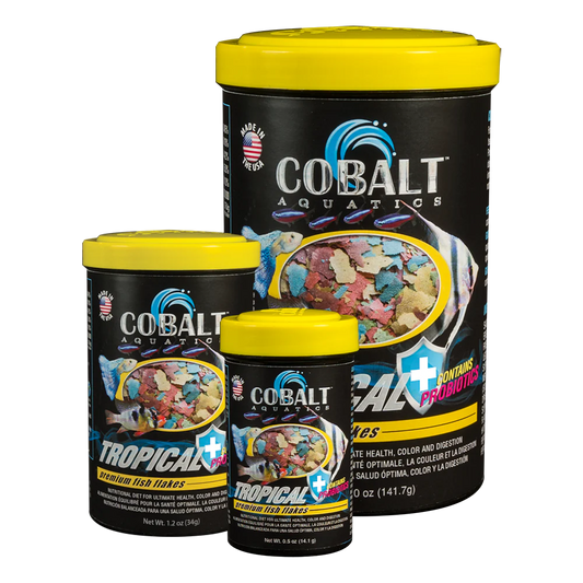 Cobalt Tropical Flakes 1.2 oz