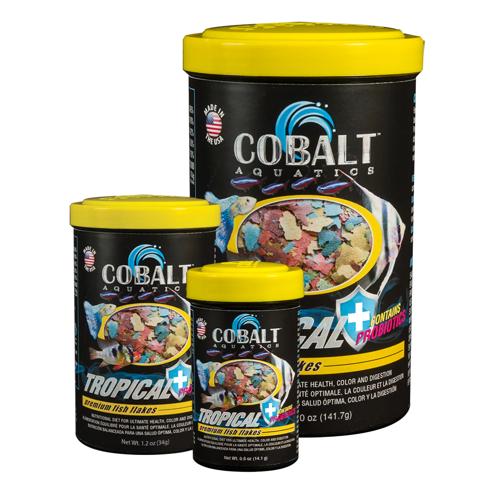 Cobalt Tropical Flakes 5 oz