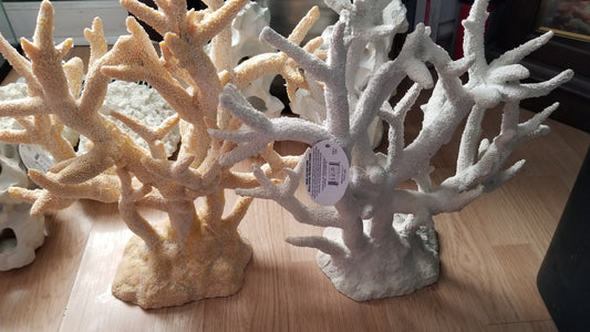 Staghorn Coral Large 17x9x17