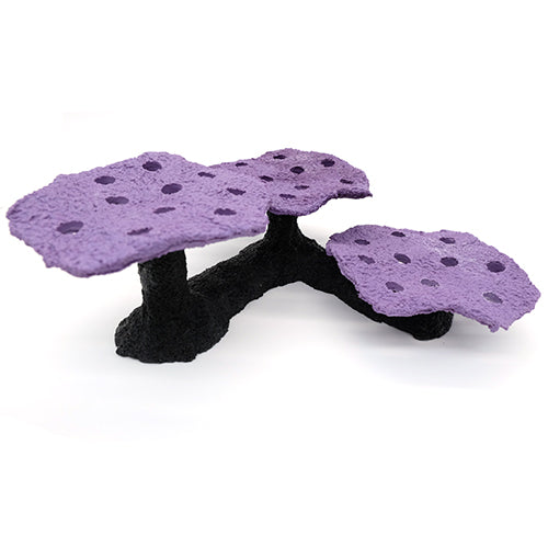 Bonsai Purple Reef Mini Frag Tree 05