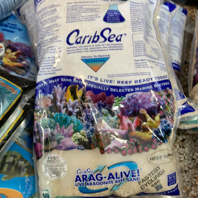 Carib Sea Arag Alive Reef Sand 20#