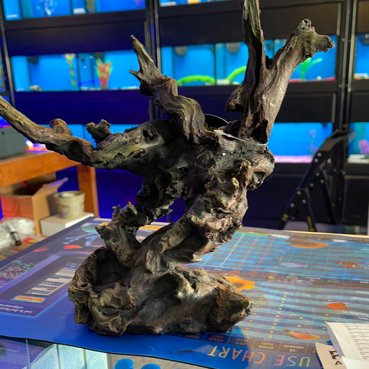 Sunken Branch