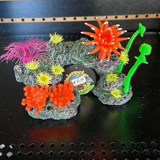 Underwater Reef Scene Small C