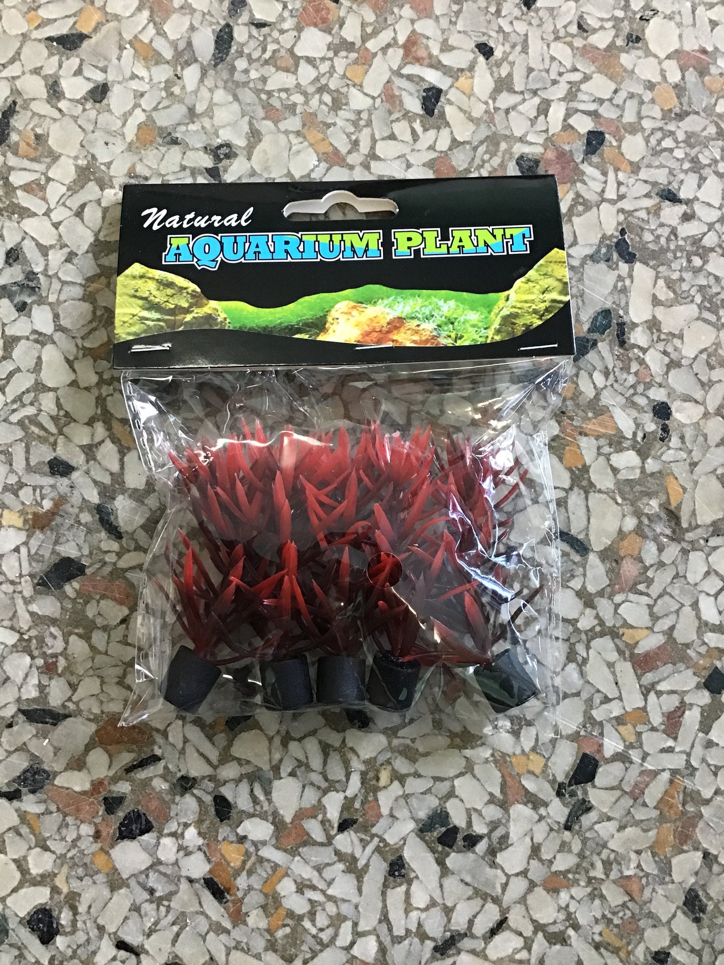 5 pack mini plant red/brown