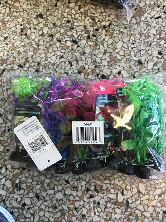 10 pack mixed Small
