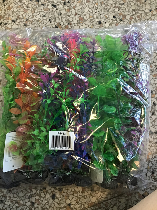 10 pack mixed Large