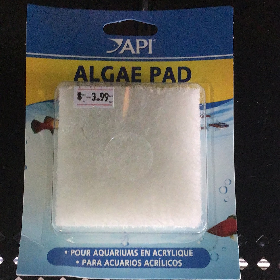 Api Acrylic algae pads