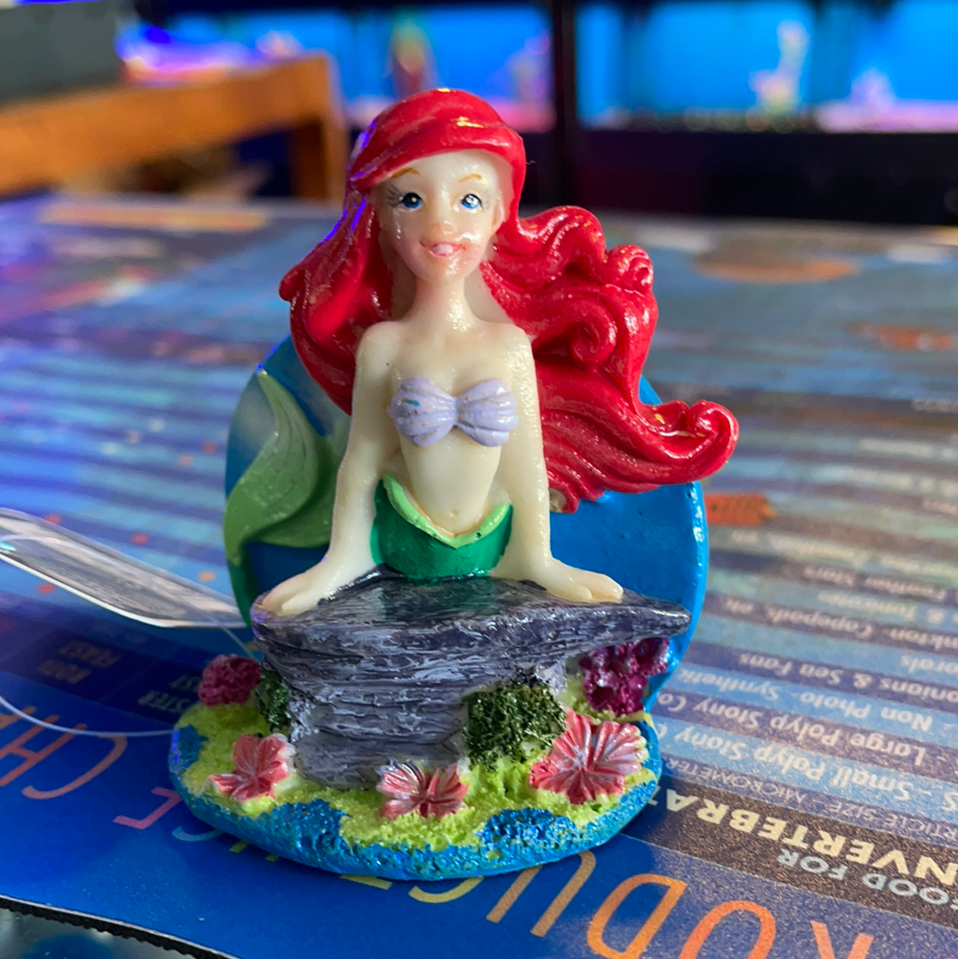 Ariel on Shell- Medium