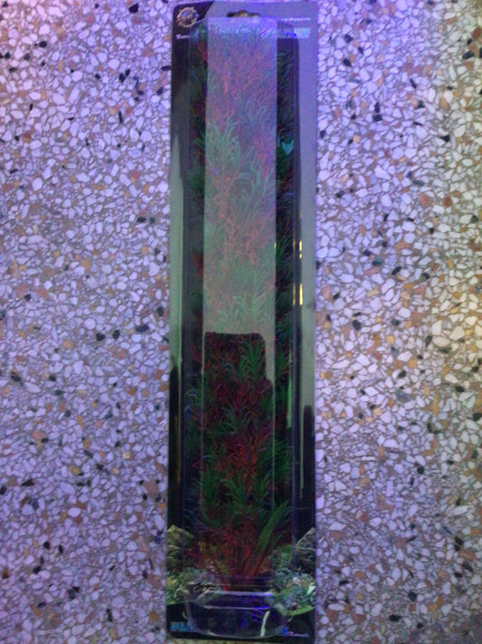 Red/green springerige 20”