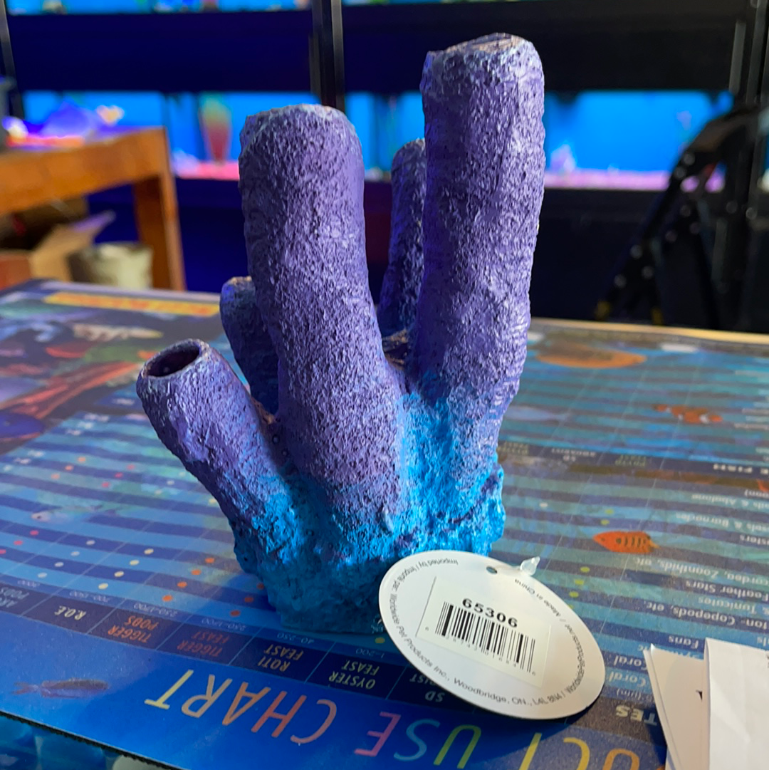 Purple tube sponge