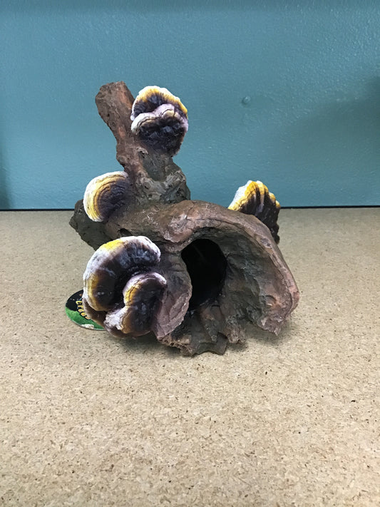 Root w Mushroom Med